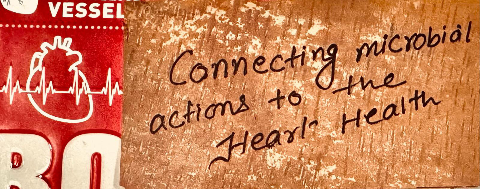 Decorative image that reads "Connecting microbial actions to heart health"
